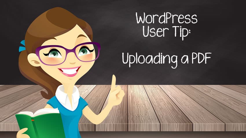 wpgal-wp-user-tip-uploading-pdf